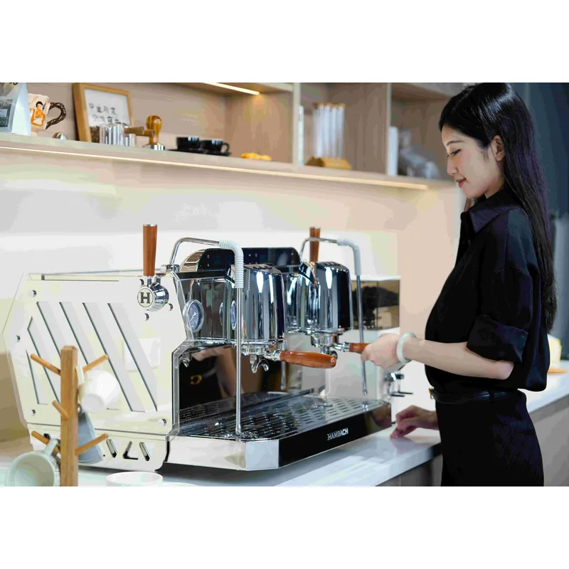 Professionele espresso koffiem - Commercial Espresso Machine 2 Group recensie en prijs