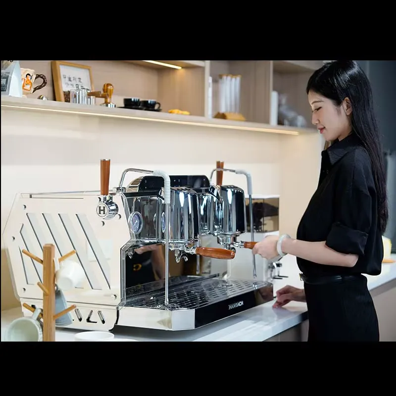 Professionele espresso koffiem - Commercial Espresso Machine 2 Group recensie en prijs