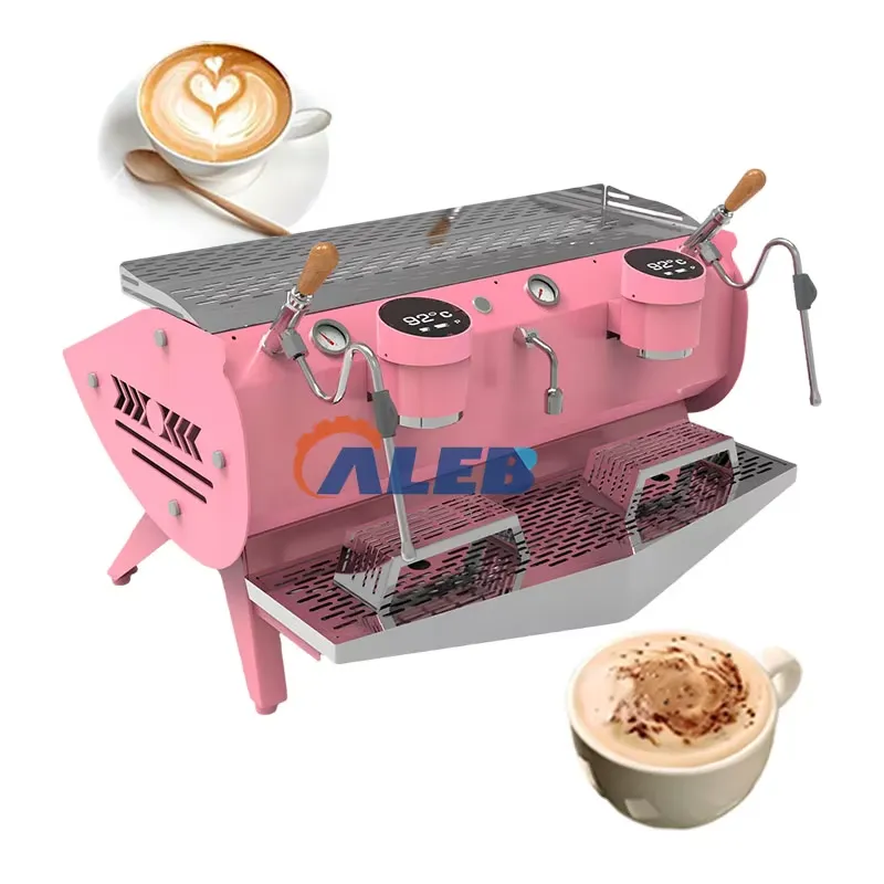 Voor kleur aanpasbare 2-groeps - Commercial Espresso Machine 2 Group recensie en prijs