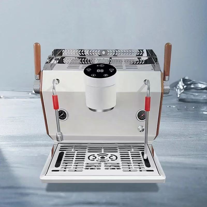 Professioneel dubbelkopig semi - Commercial Espresso Machine 2 Group recensie en prijs