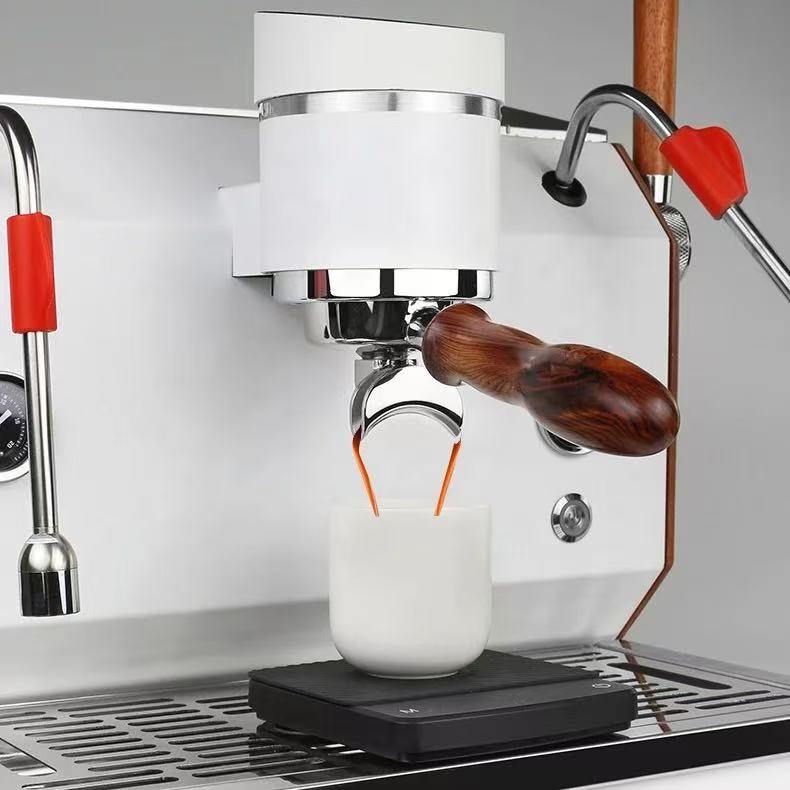 Professioneel dubbelkopig semi - Commercial Espresso Machine 2 Group recensie en prijs