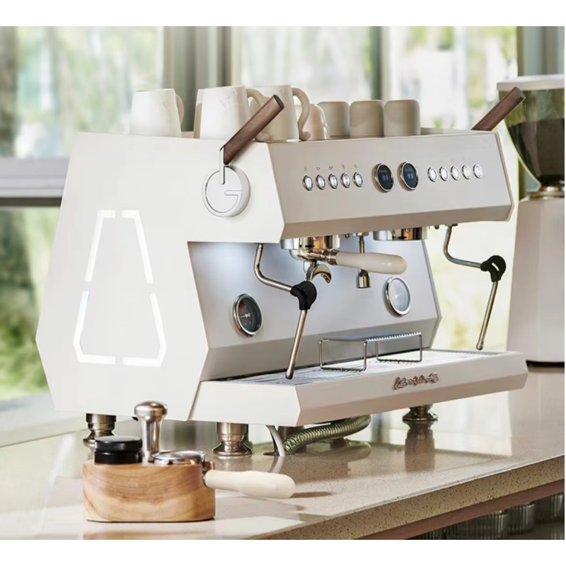 Slimme semi-automatische draag - Commercial Espresso Machine 2 Group recensie en prijs