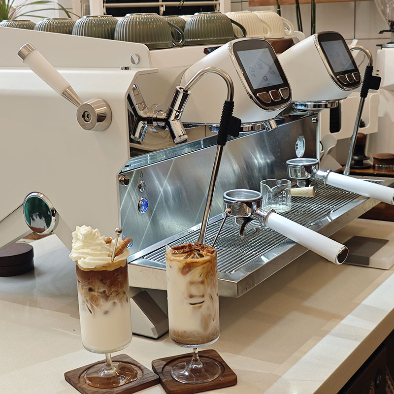 Italiaanse 2-groeps commerciël - Commercial Espresso Machine 2 Group recensie en prijs